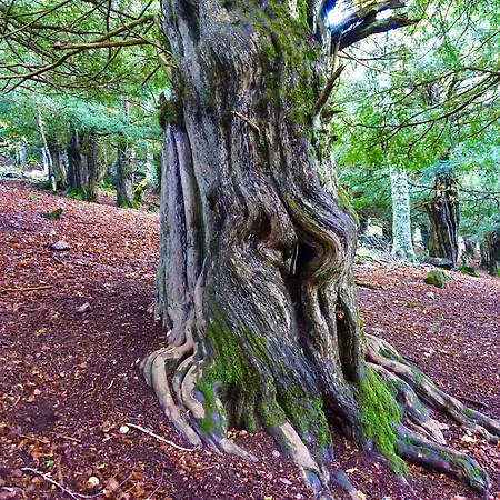 Casa de Campo El Mayorazgo Cordovilla de Aguilar
