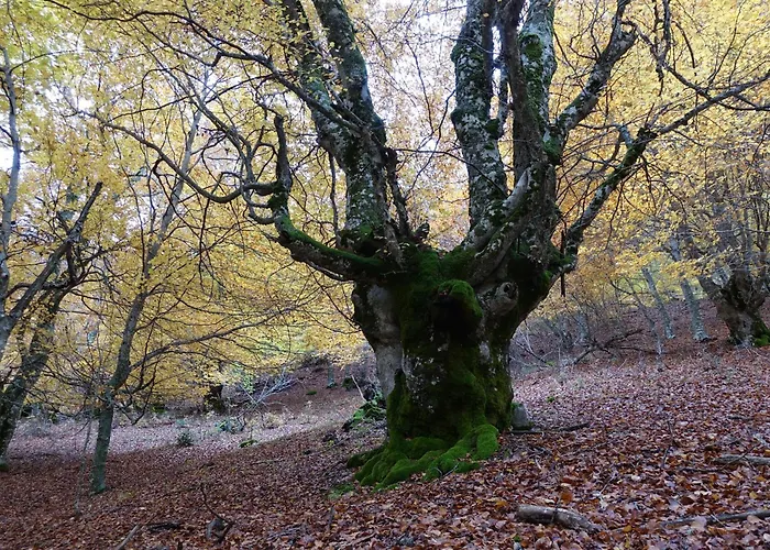 El Mayorazgo Εξοχικό σπίτι *
