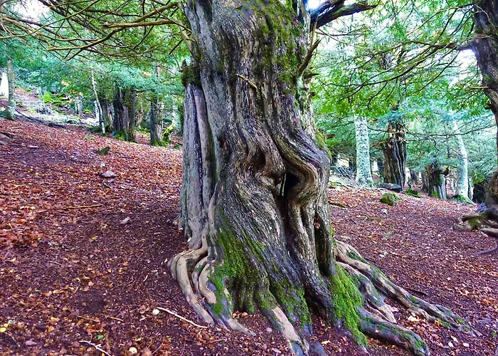 Εξοχικό σπίτι El Mayorazgo Cordovilla de Aguilar